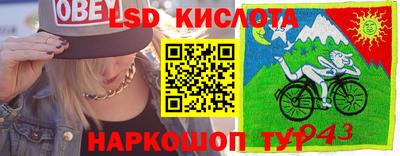 ПСИЛОЦИБИНОВЫЕ ГРИБЫ Конаково