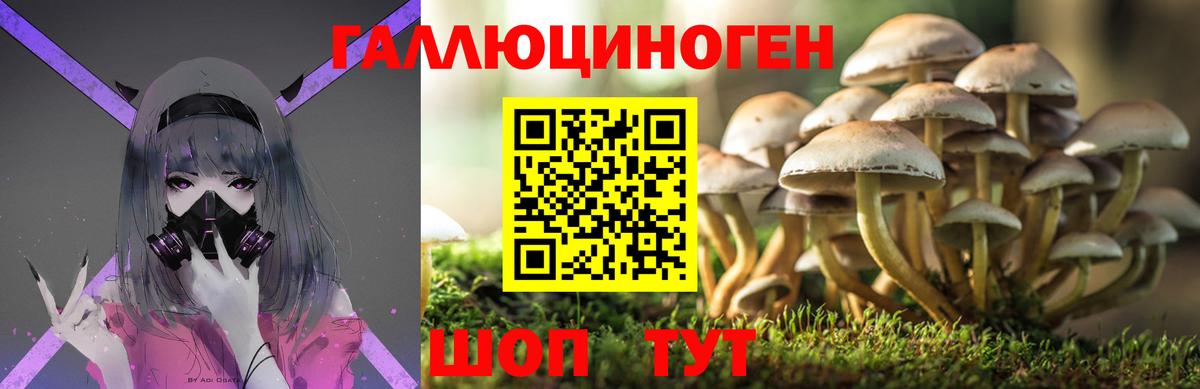 Конаково  Галлюциногенные грибы мухоморы  Псилоцибиновые грибы прущие грибы  Вход с VPN 